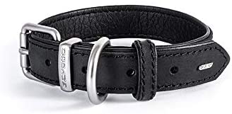 EzyDog Item Details Oxford Premium Adjustable Leather Dog Collar - Extra Large - Black