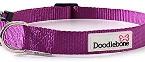 Doodlebone Bold Dog Collar (Medium, Purple)