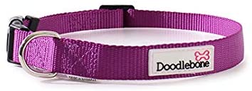 Doodlebone Bold Dog Collar (Medium, Purple)