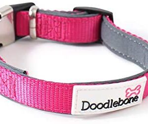 Doodlebone Padded Dog Collar, Neon Pink, Medium
