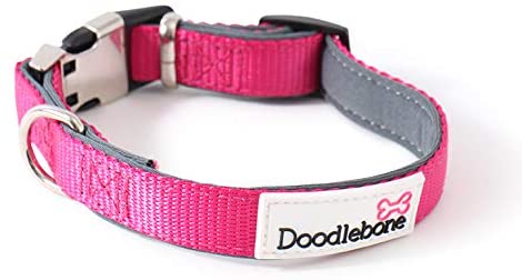Doodlebone Padded Dog Collar, Neon Pink, Medium