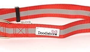 Doodlebone Bold Reflective Dog Collar - Red - Small