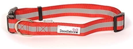 Doodlebone Bold Reflective Dog Collar - Red - Small