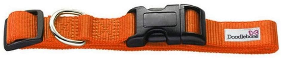 Doodlebone Bold Dog Collar (Medium, Orange) - Image 2