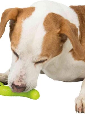 Trixie Snack Snake, treat activity toy for dogs