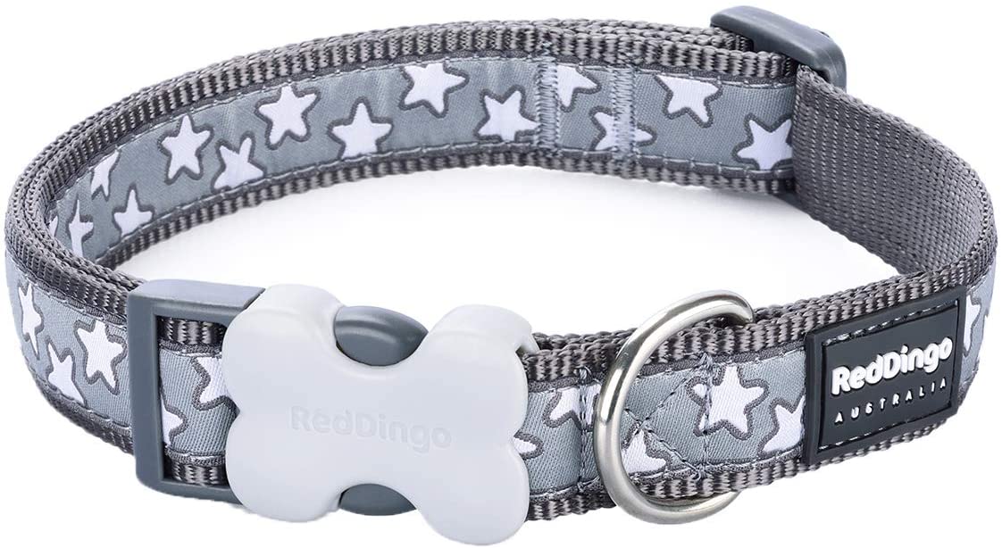 Red Dingo White Star On Grey Dog Collar (20mm x 31-47cm), M