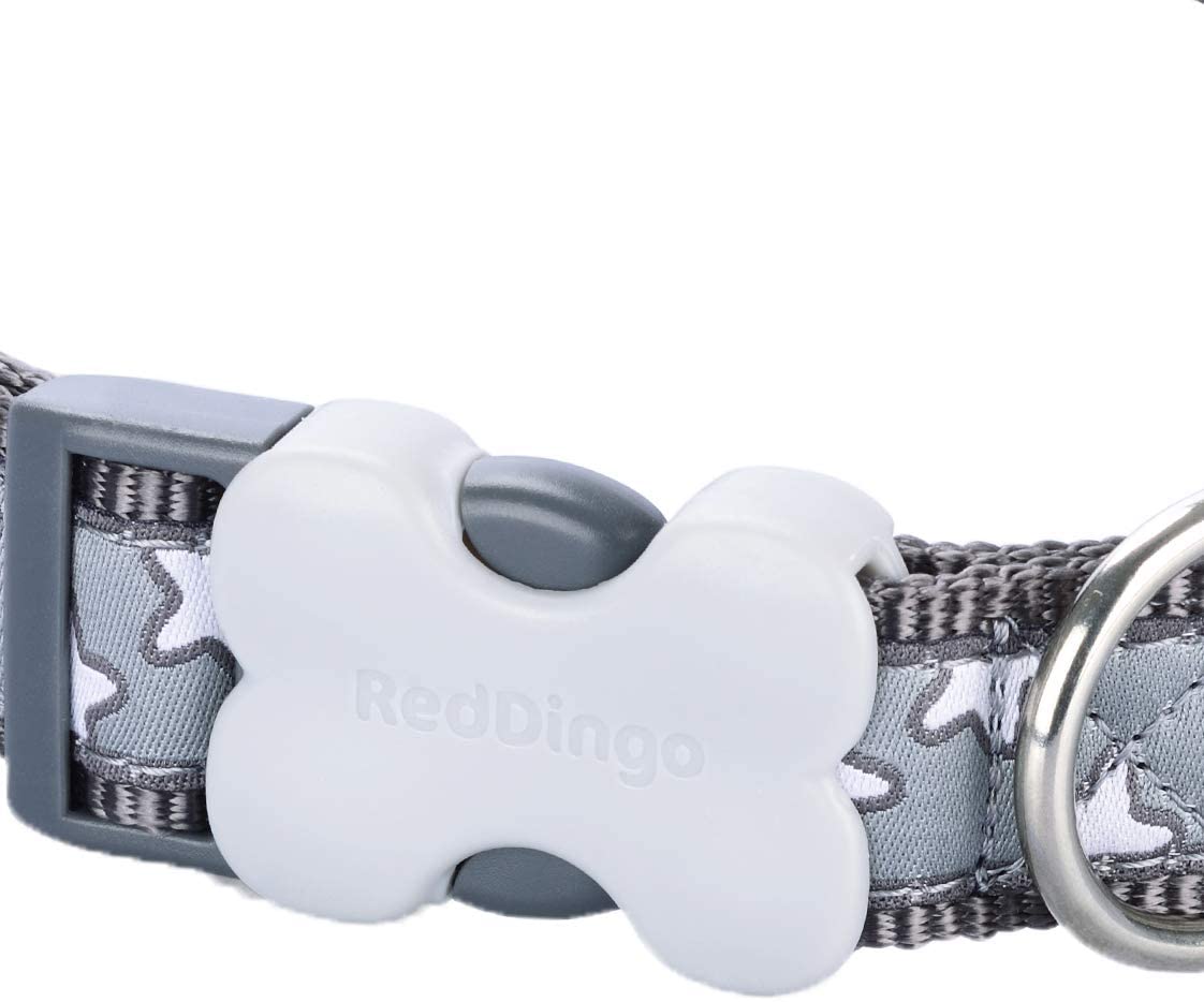 Red Dingo White Star On Grey Dog Collar (20mm x 31-47cm), M - Image 3