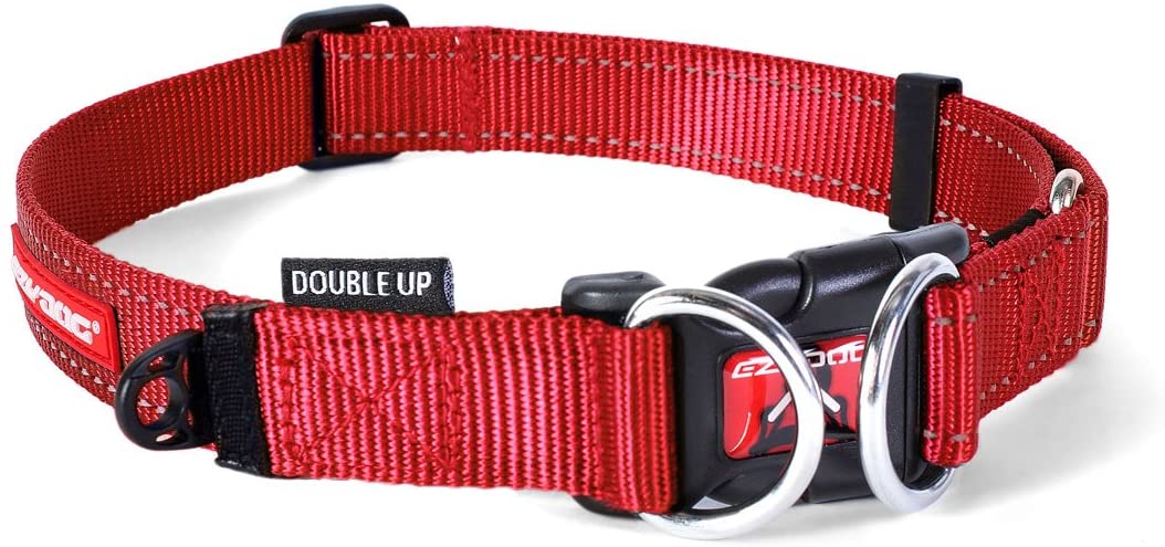 EzyDog Double Up Collar, Red, Small (22cm - 29cm)