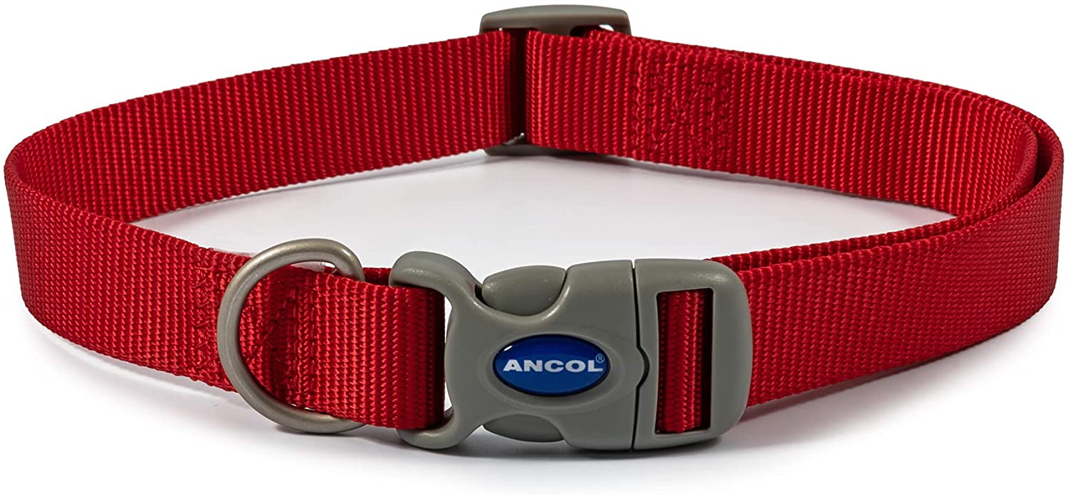 Ancol Viva Adjustable Collar Red, Size 2-5/Medium Fits neck 30-50cm, Quick Fit, Lightweight, Weather Proof