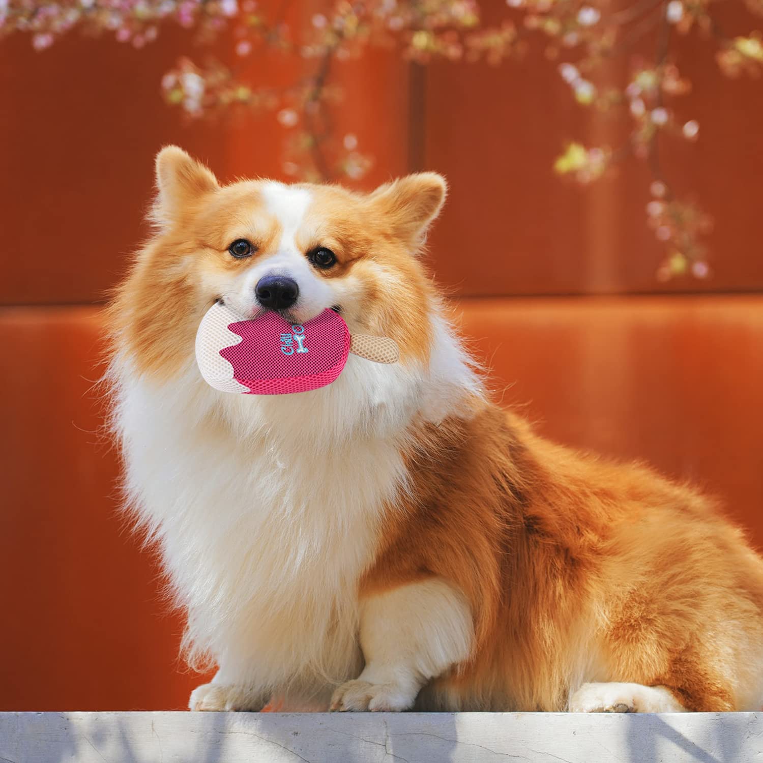 All For Paws Chill Out Blueberry Ice Cream Dog Chew Toy, 2.5 kg (Stawberry Ice Cream) - Image 3