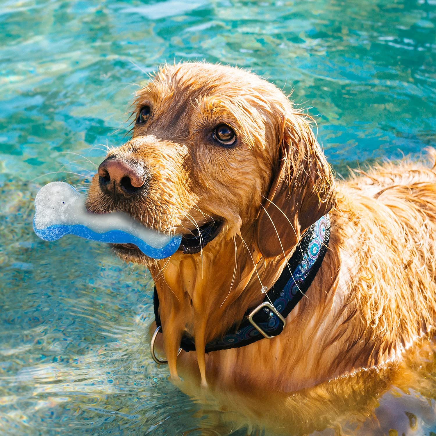 ALL FOR PAWS Chill Out Cooling Dog Toy Frozen Summer Cool Ice Bone Chew Toy Hydration Refreshing Fetch Bone - Large - Image 4