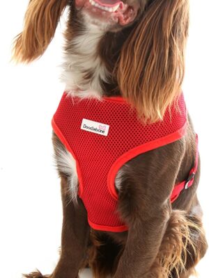 Doodlebone Airmesh Dog Harness, Red, Large