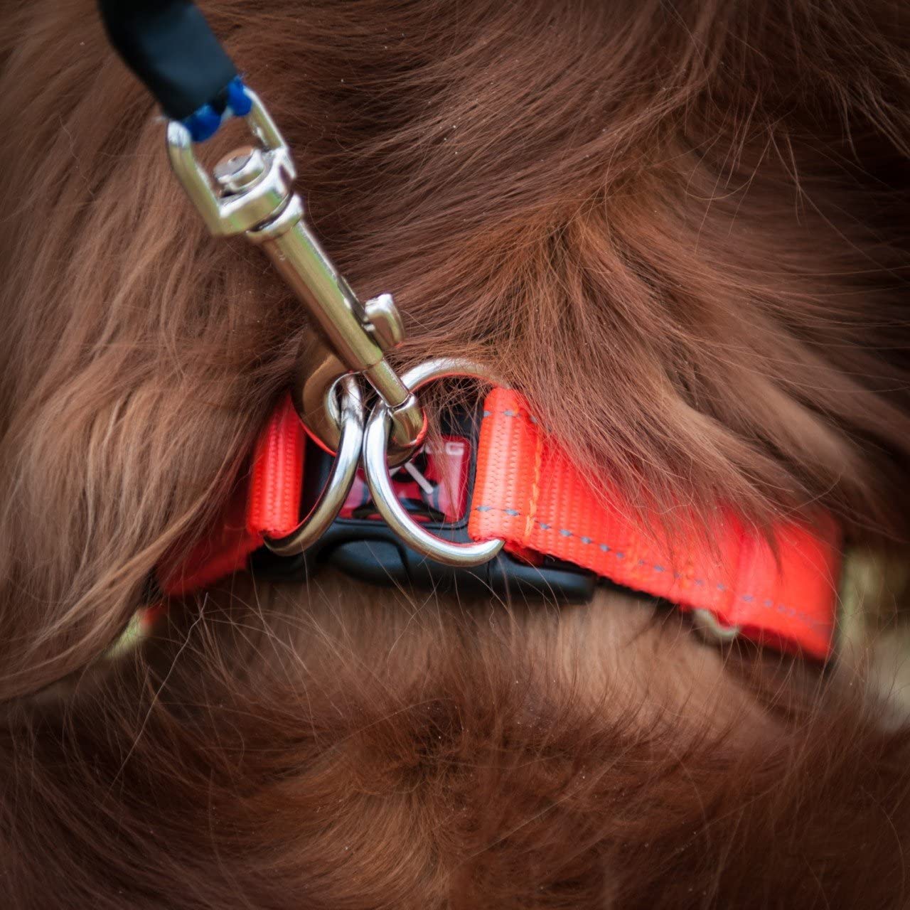 EzyDog Double Up Collar, Red, Small (22cm - 29cm) - Image 2